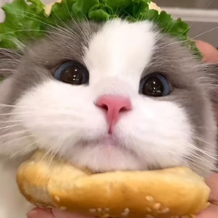 

tambahan ekstra bubble wrap