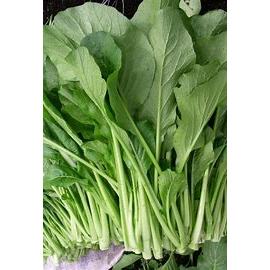

Sawi Hijau Caisim Fresh 500 gr