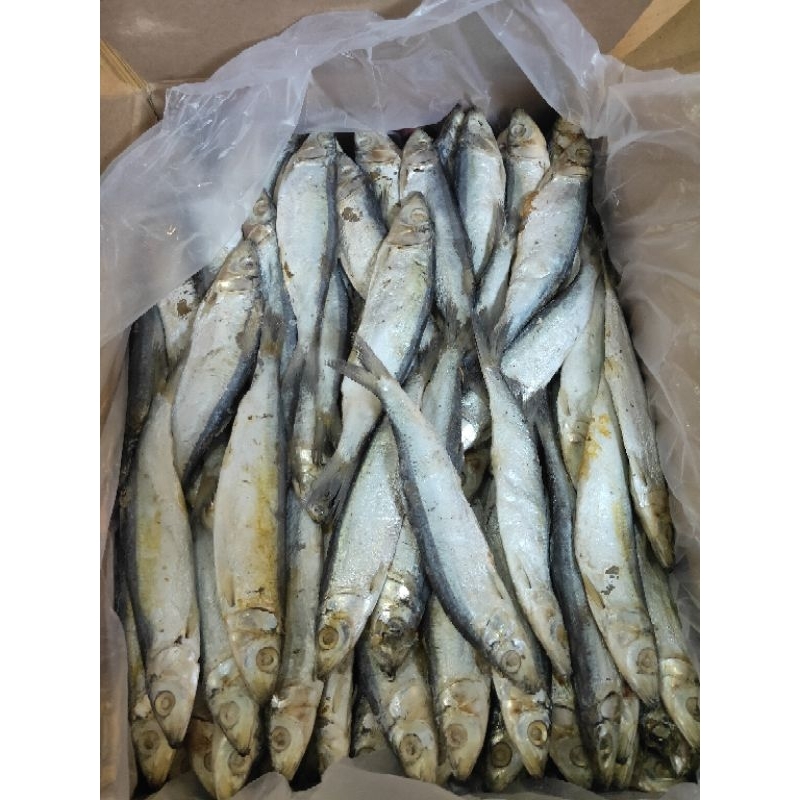 

IKAN ASIN JAPUH ISI 1KG KWALITAS SUPER #IKANASINTEGAL #IKANASIN #JAPUH