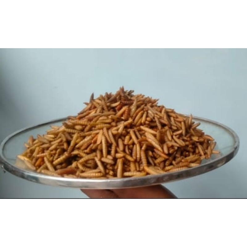 Grand Larva Maggot kering 1 kg