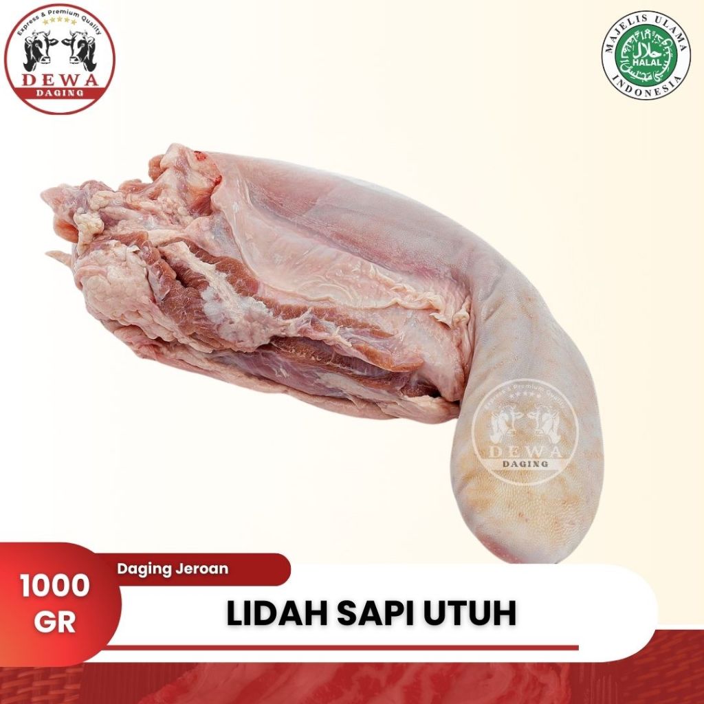 

Lidah Sapi | Beef Tongue | Lidah Sapi Impor | Impor