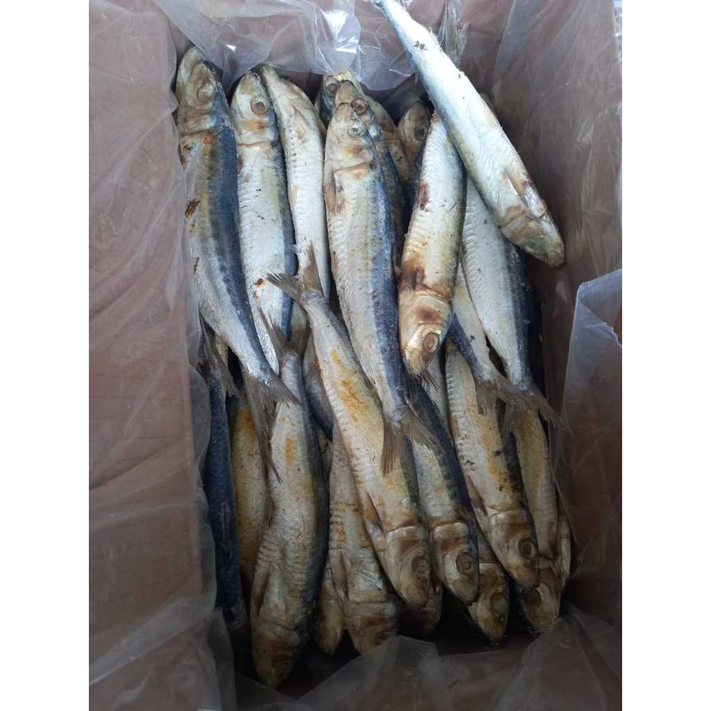 

ikan asin japuh siro 500 gram