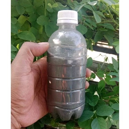 

(UPGRADE) ABU KAYU SINGKONG 350ml pengenyal cincau hijau praktis