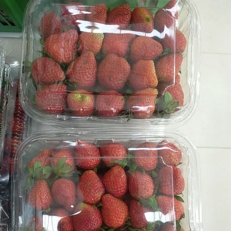 

Stroberi Ukuran Setengah Kilo