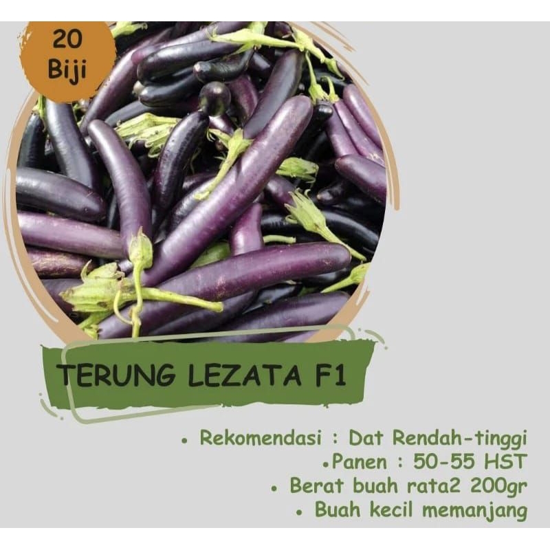 

20 Benih-Biji Terong Lezata F1 Biji Terong Terong sayuran Terong Ungu