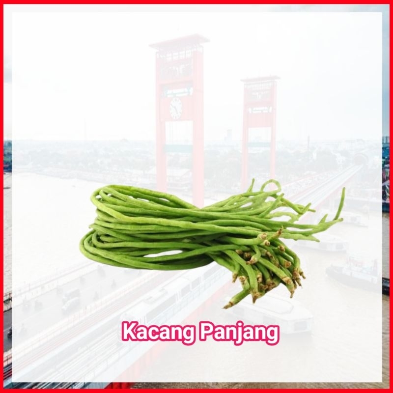 

Kacang Panjang - Toko Ampera Sayur Sayuran Mayur Segar Online Murah Palembang