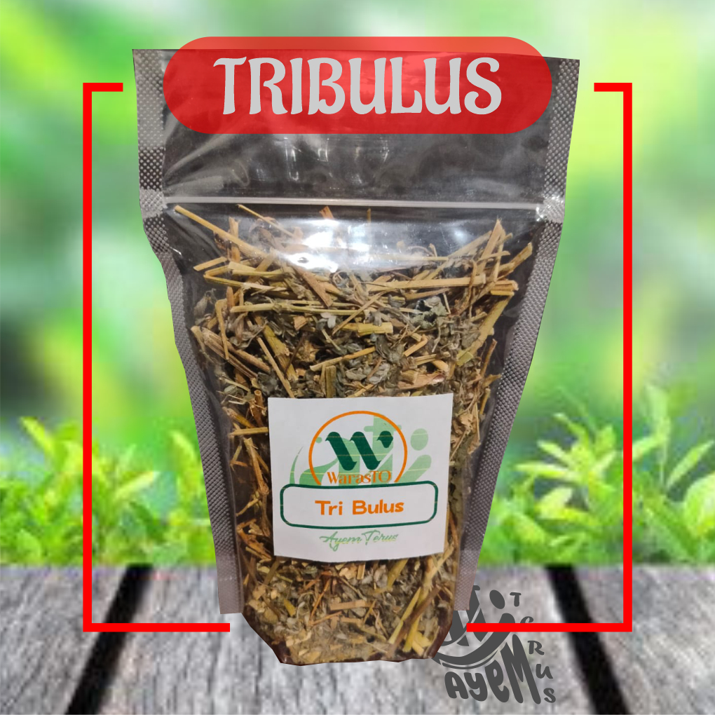 

Tribulus (Bahan Jamu Kering)