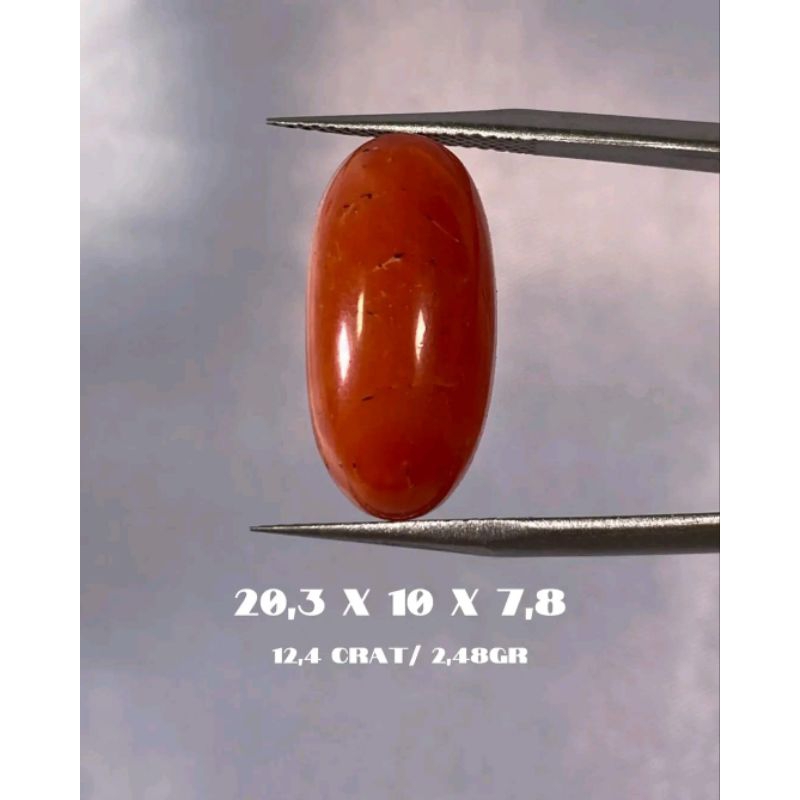 batu Marjan asli marjan tunis import Mesir