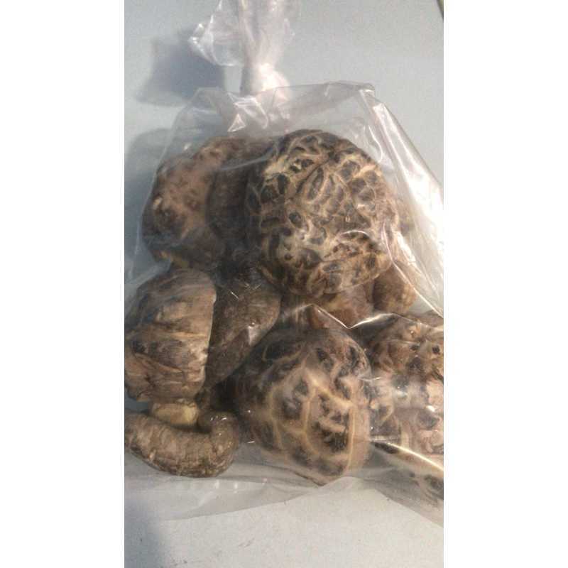 

Jamur huako besar 100gr