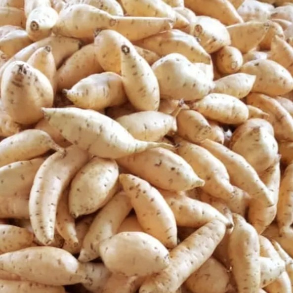 

Ubi Cilembiu Madu 1kg