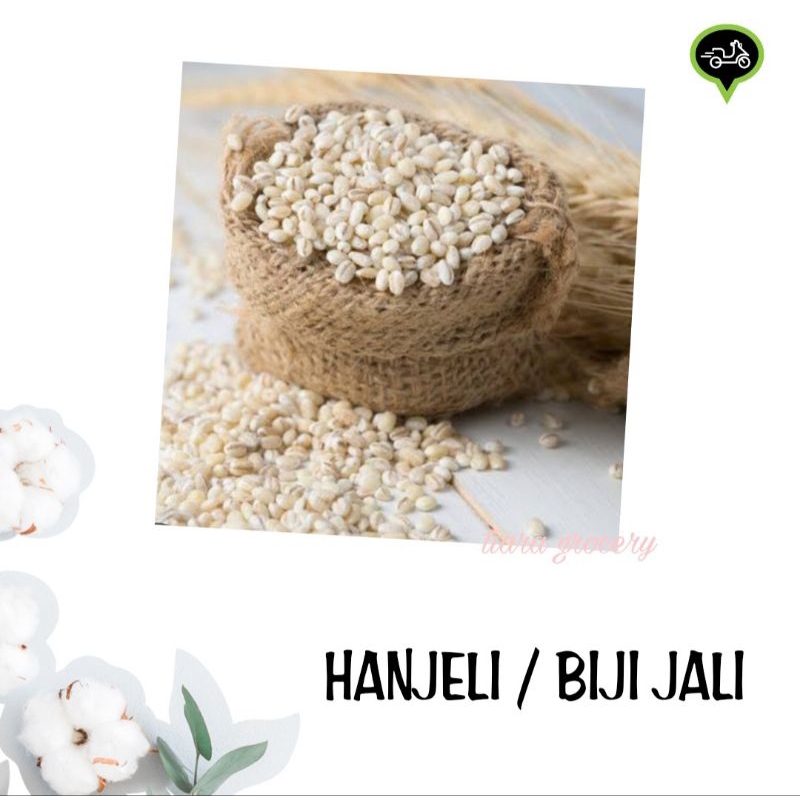 

Hanjeli/biji jali