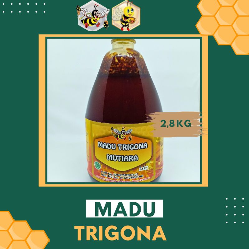 

2,8 KG - MUTIARA IBU MADU TRIGONA/KLANCENG