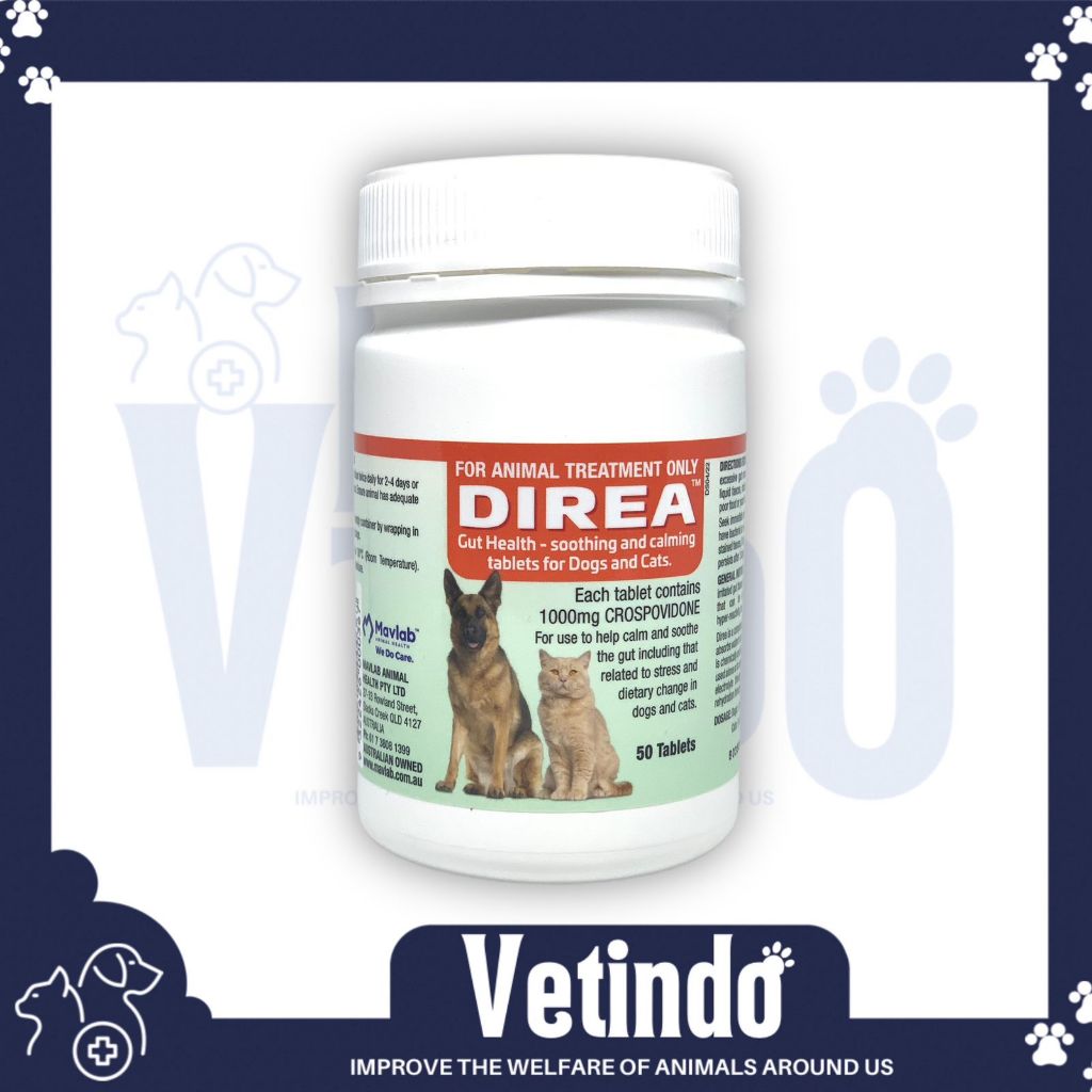 DIREA Obat diare anjing dan kucing terbaik PER TABLET