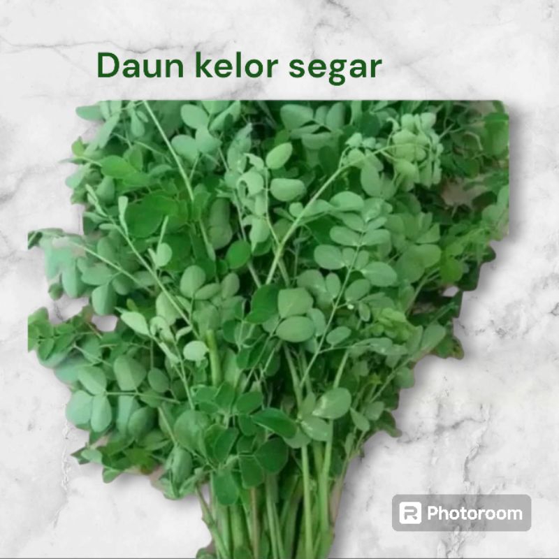 

daun kelor segar daun sayuran anti kangker per ikat