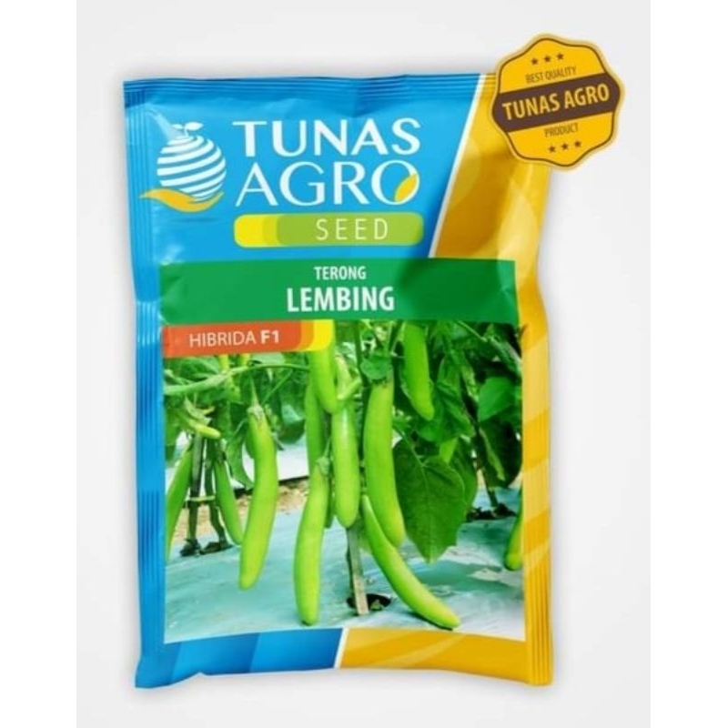 Benih terong hijau Tahan Virus LEMBING 5 gram Tunas Agro