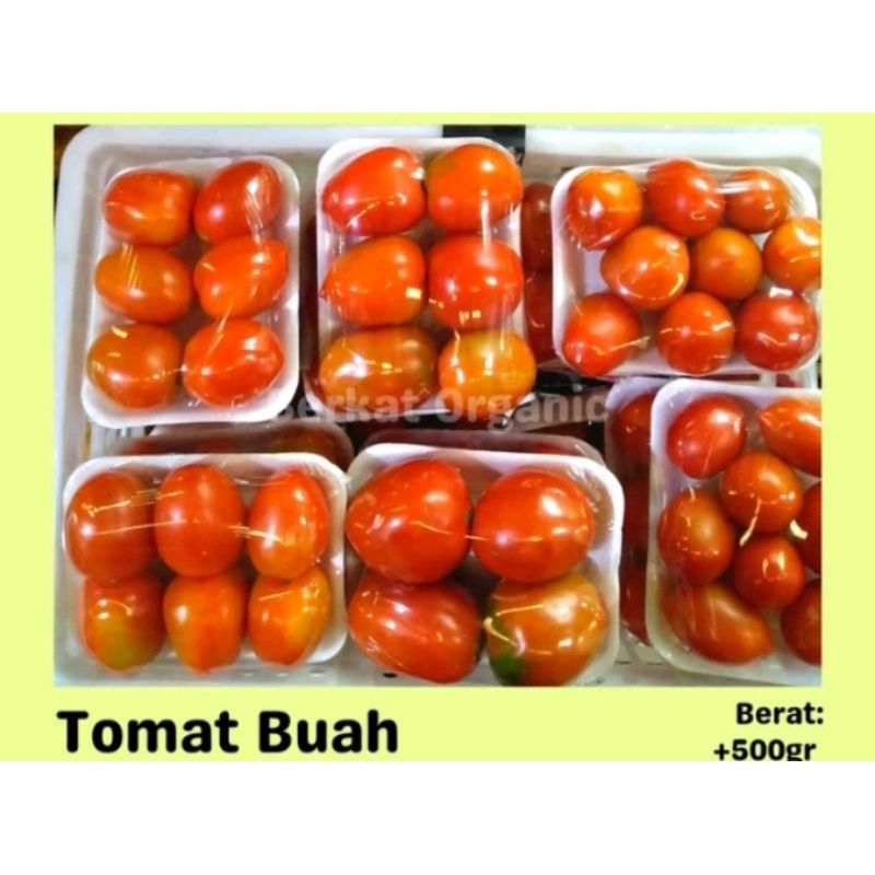 

INSTAN TOMAT BUAH segar 1 kg