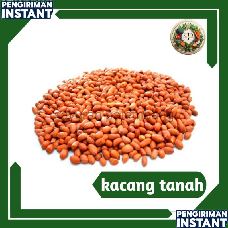 

kacang tanah - sayuran palembang