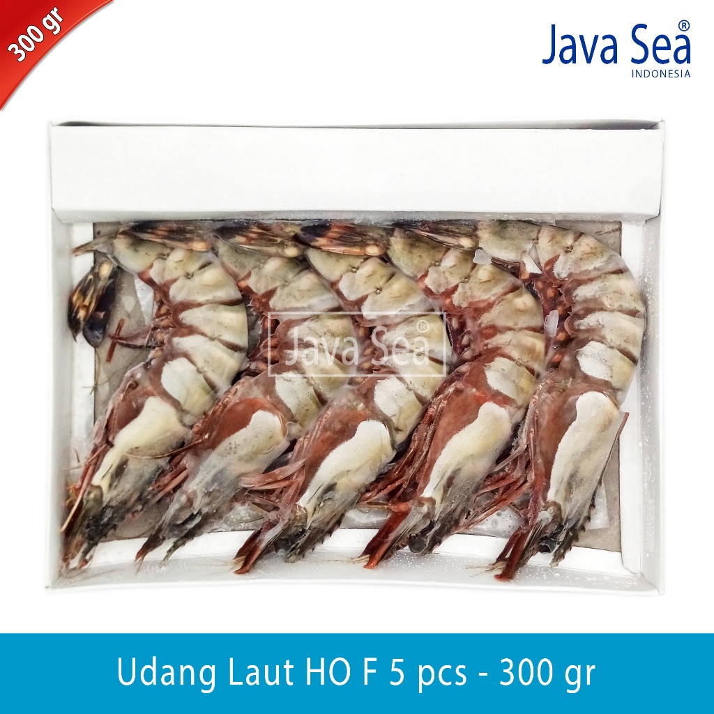 

Udang Laut Utuh Ada Kepala HO F-5 pack 300gr Java Sea