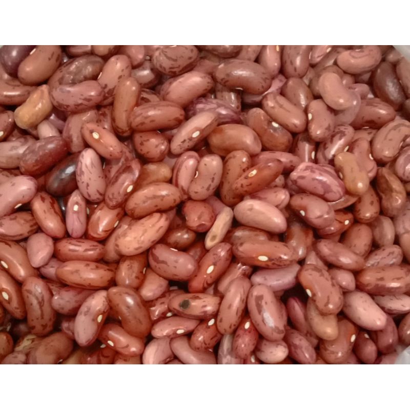 

Kacang Merah 250gr