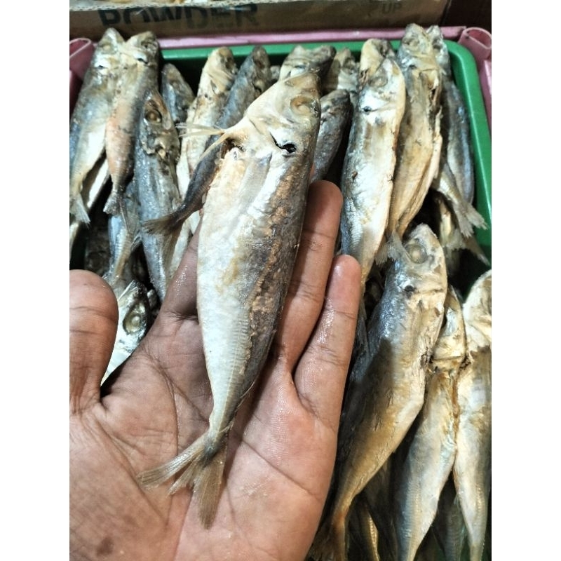 

ikan asin japuh layang 100 gram