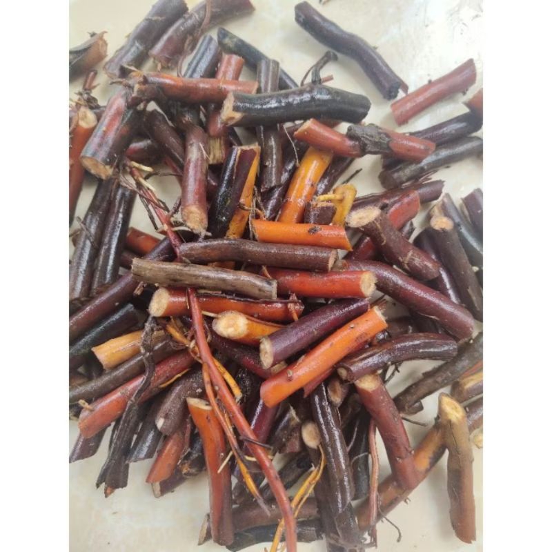 

Akar pohon kelapa segar 500 gram