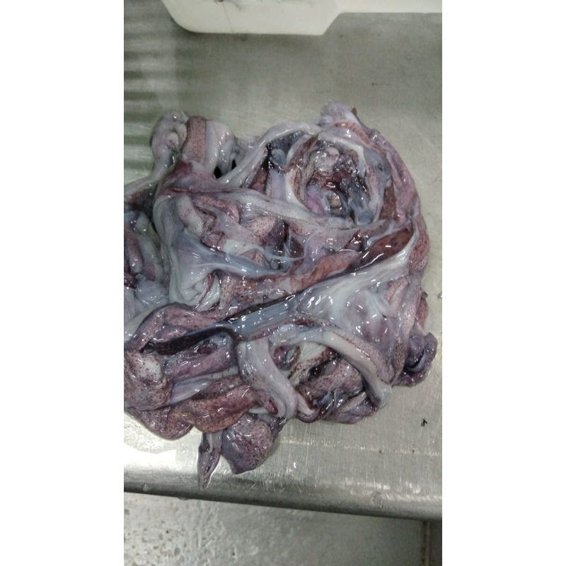 

KULIT CUMI CUMI JUAL 2kg