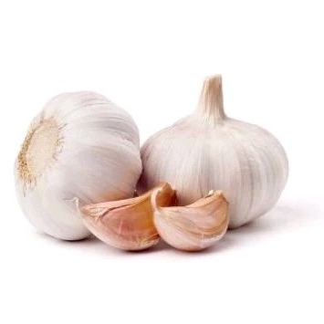 

Bawang Putih