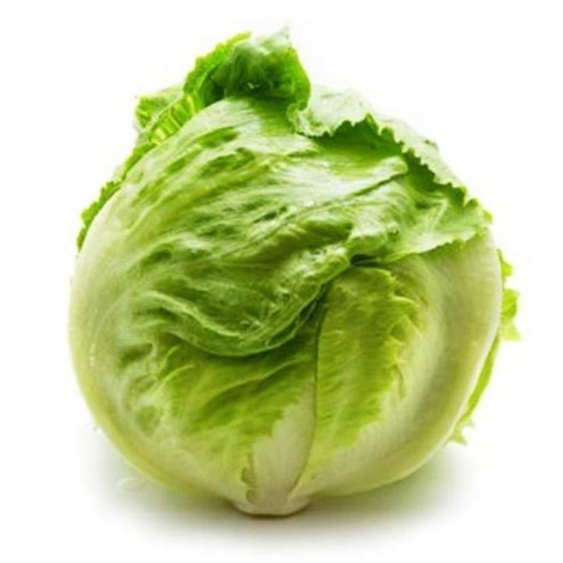 

selada bulat lettuce 250gr