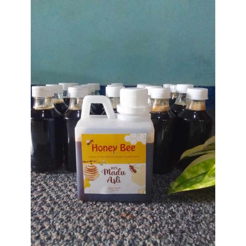 

Madu Hutan Asli Murni Tanpa Campuran 500 gr