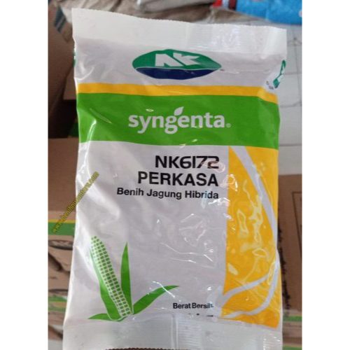 Benih Jagung Perkasa 1 KG Benih Jagung Hibrida Nk 6172 Perkasa 1kg Benih Jagung Unggul Syngenta