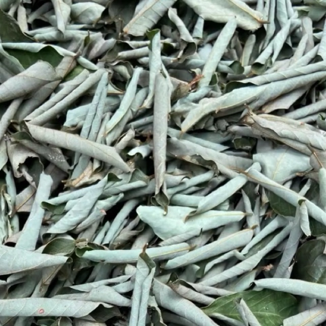 

Daun kandri kering natural organik 200 gram-az