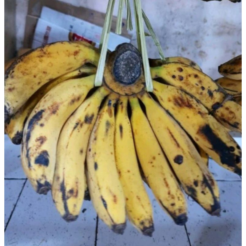 

pisang raja satu sisir