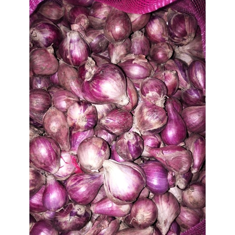 

bawang merah pilihan 1kg