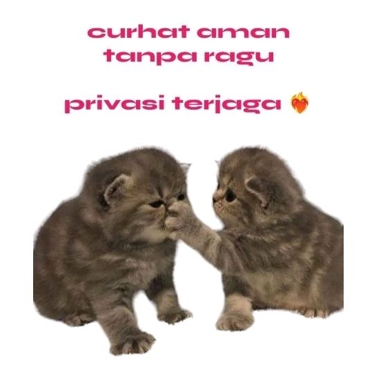 

TEMAN CURHAT, TEMAN NGOBROL, TEMAN PENDENGAR VIA CHAT, PRIVASI TERJAGA