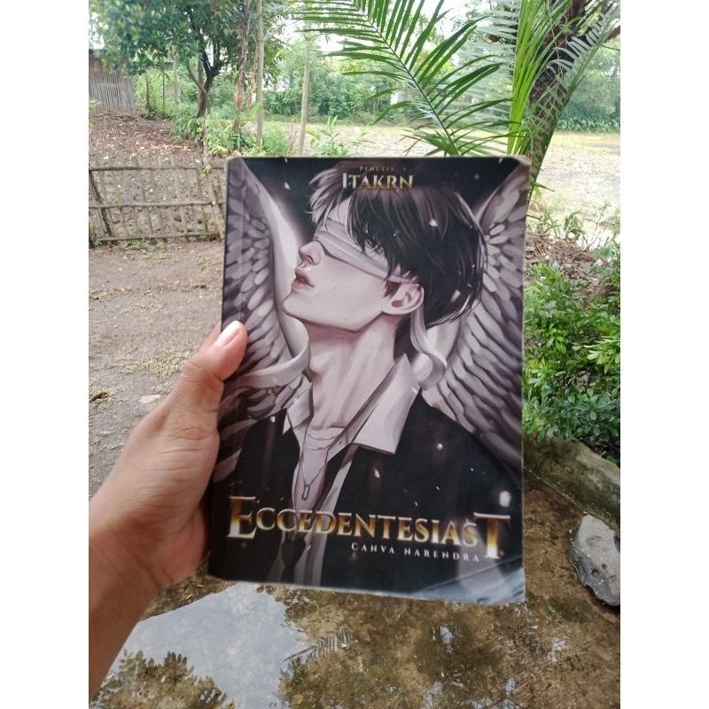 preloved novel eccedentesiast