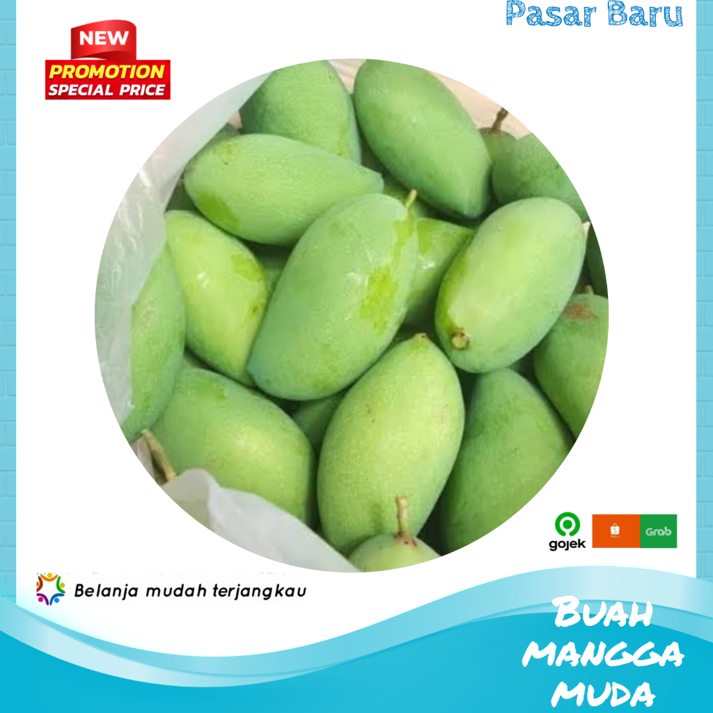 

Mangga Muda / Mangga Kecut / Mangga Racak / Mangga Rujak • 1Biji Ukuran Sedang ✓ Murah | Pasar Baru Makassar