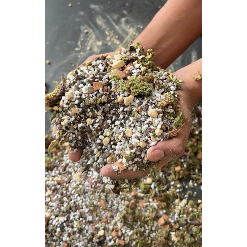 METAN JOSS for plant food daily by plantycious (untuk semua tanaman Aroid)