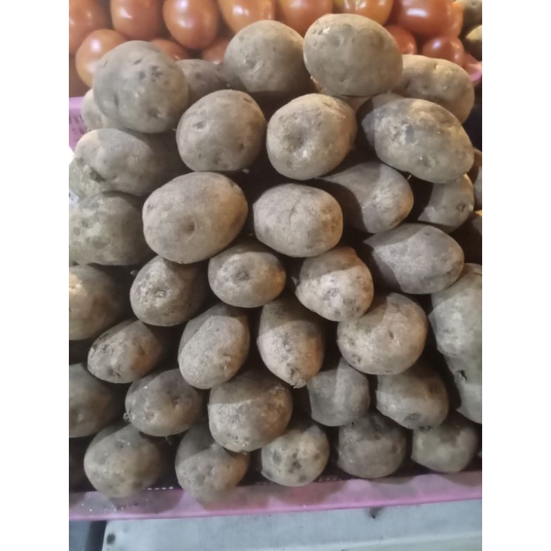 

kentang dieng/500gram