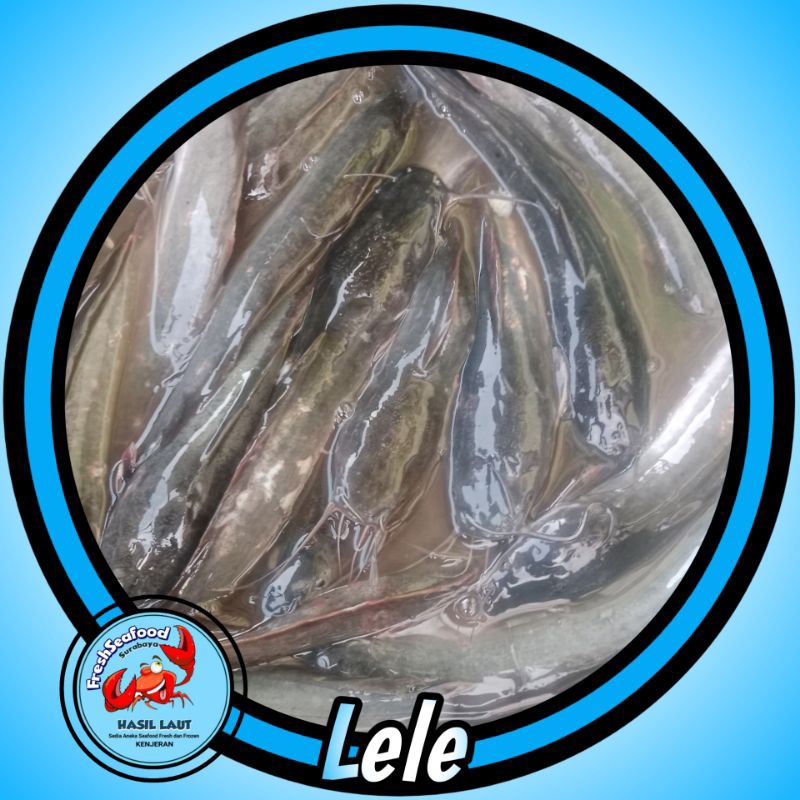 

LELE HIDUP 1KG