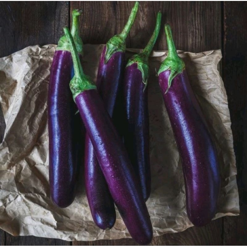 

Terong Ungu Segar Baru Petik Dari Petani Berat 500gr