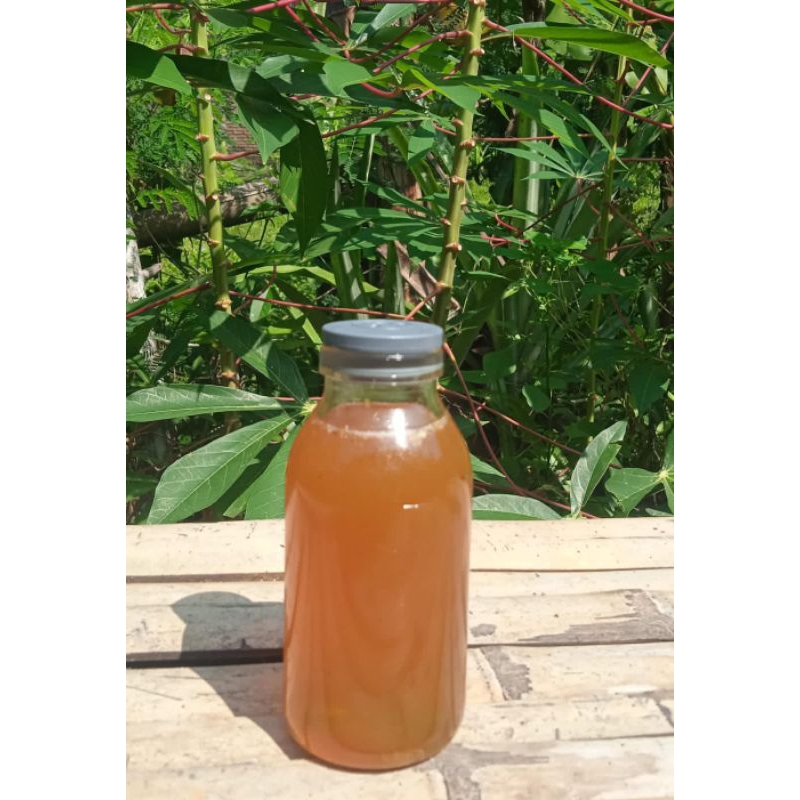 

madu murni apis cerana