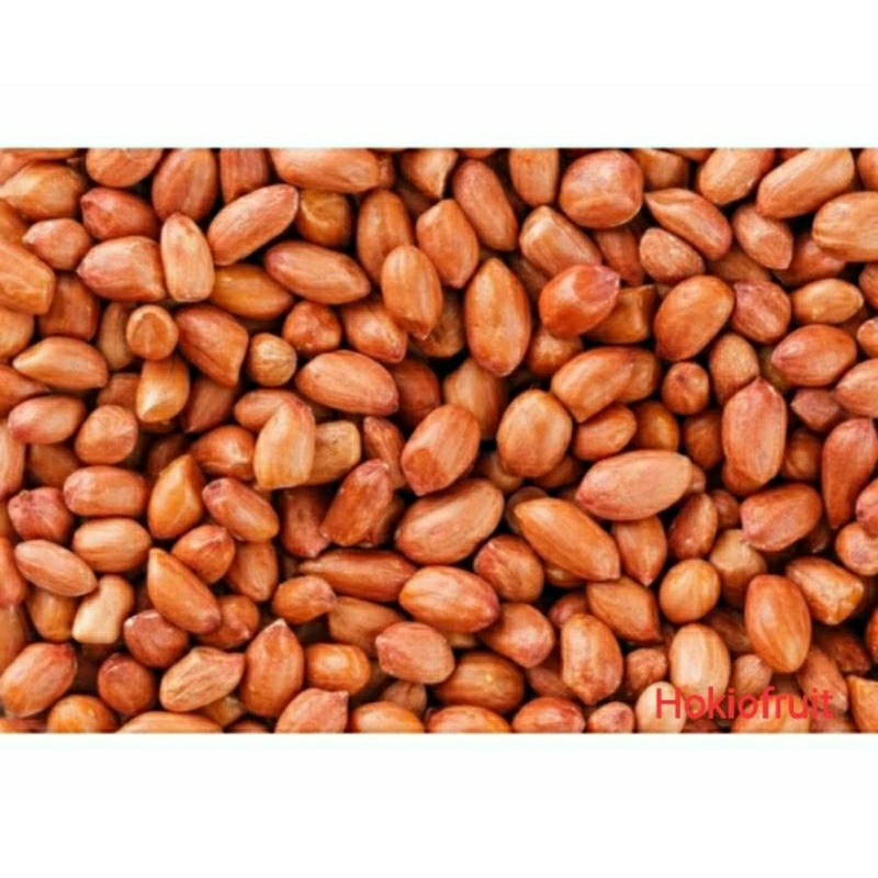 

Kacang Tanah /Hokkysayur19