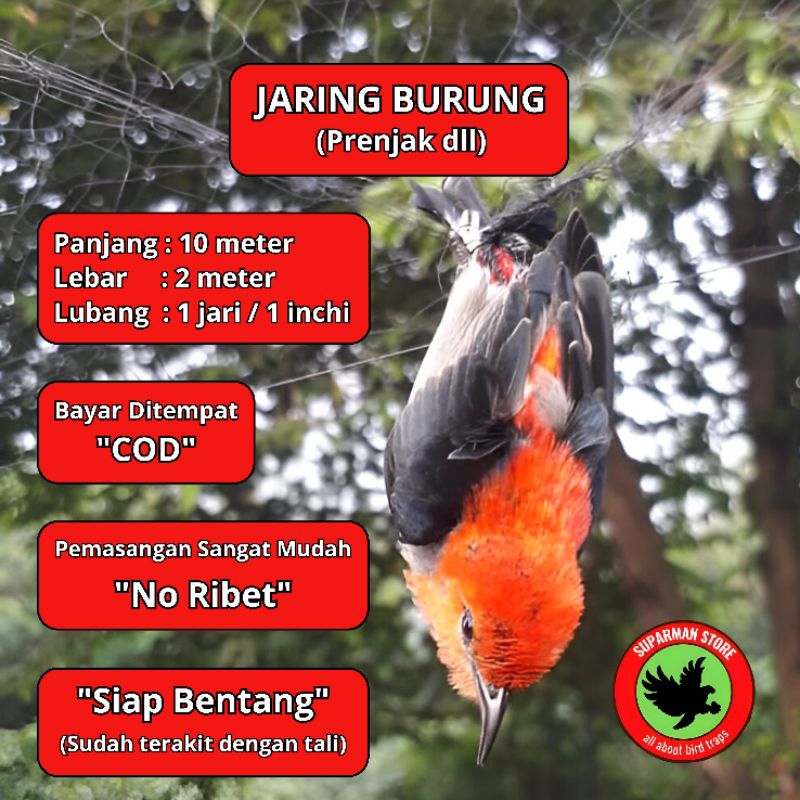 JARING BURUNG PRENJAK 10TAMU JARING PADI JARING SAWAH JARING BURUNG KECIL JARING BURUNG CABE JARING 