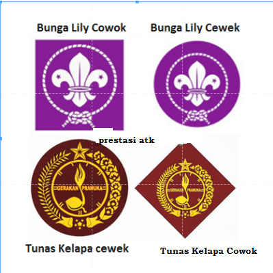 ATRIBUT PRAMUKA /BET PRAMUKA BUNGA LILY DAN TUNAS CEWE/COWO.