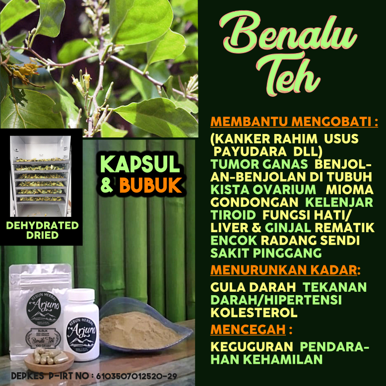 

Dehydrated Dried Bubuk & Kapsul Benalu Teh Obat (Kanker Rahim Payudara Usus) Tumor Ganas Kista Ovarium Mioma Kelenjar Tiroid Gondongan Rematik Encok Sakit Pinggang Radang Sendi Ginjal Hati Liver DLL Herbal Alami