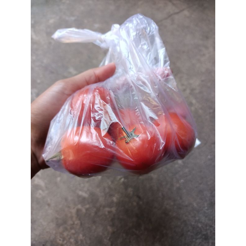 

Tomat merah tomat sayur tomat sambal
