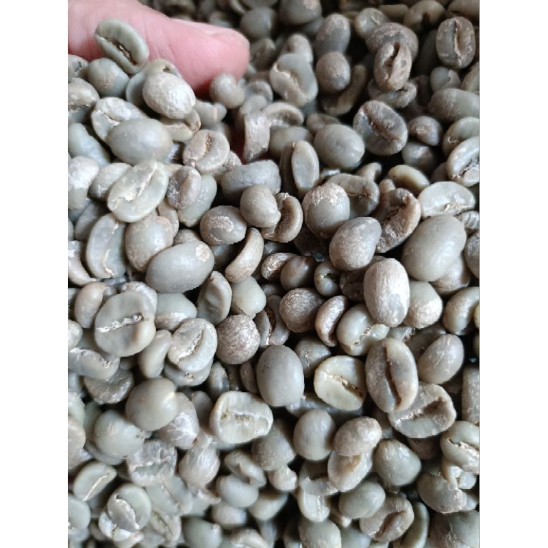 

Green Bean Arabika Bali Kintamani Full Wash G1