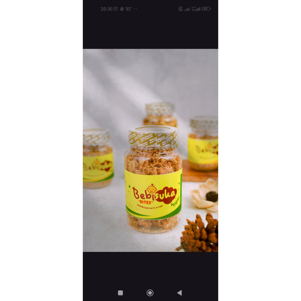 

KREMESAN BITES HATI AYAM ORGANIK