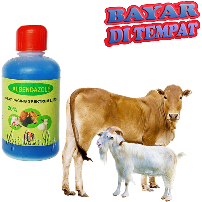 Obat Cacing Sapi Kerbau Kambing ALBENDAZOLE Sakit Cacingan Penghilang Larva Hewan Ternak