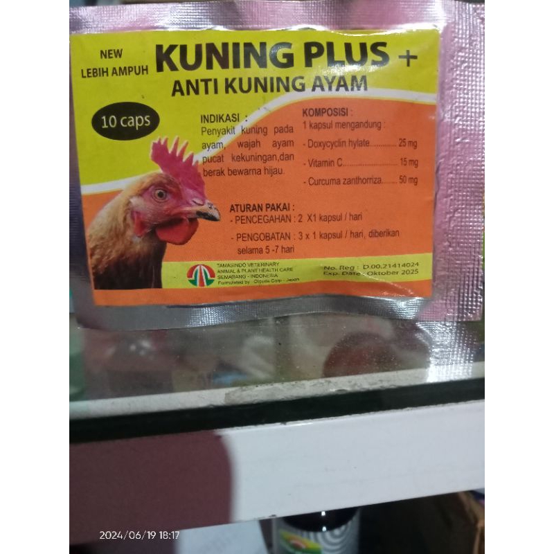 OBAT SAKIT KUNING AYAM